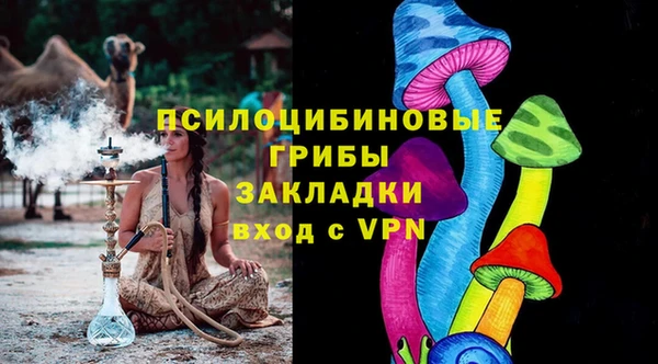 a pvp Алзамай