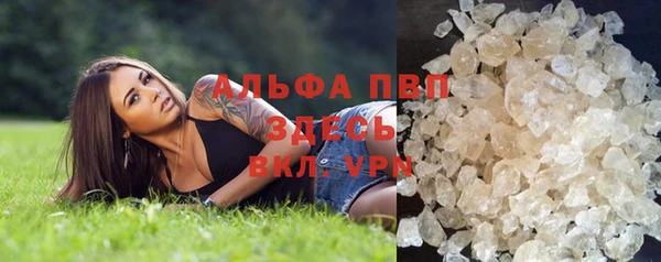 молекула духа Алексеевка