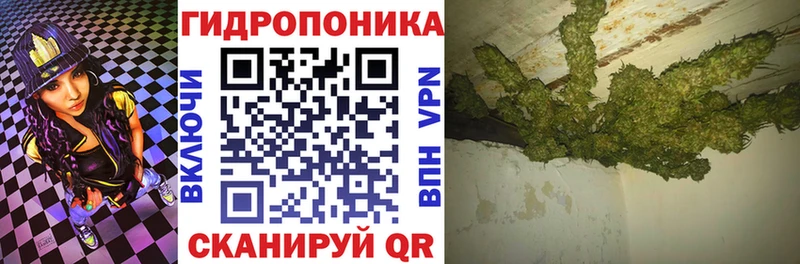 Бошки марихуана гибрид  OMG ссылки  Дорогобуж 